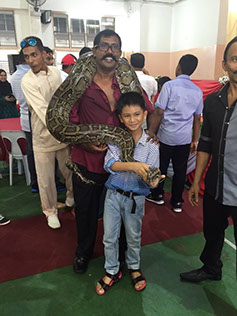 Snake Charming Singapore for Hire, Snake Charmer Singapore, Snakes Singapore,