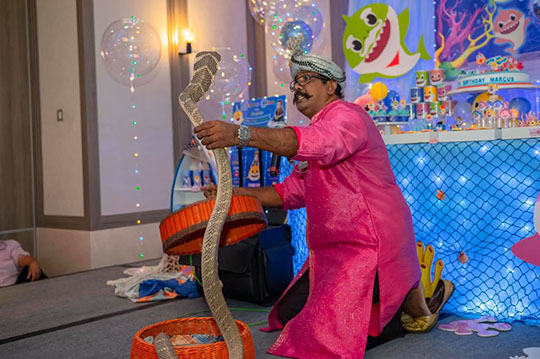 Snake Charming Singapore for Hire, Snake Charmer Singapore, Snakes Singapore,
